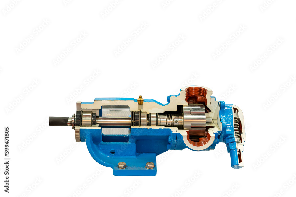 Cross section present detail in side of high pressure external gear pump or rotary gear pump for industrial isolated on white with clipping path