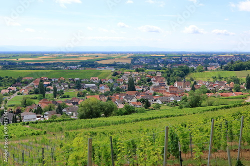 View from the vineyards to Pleisweiler on the german wine route in the palatinate