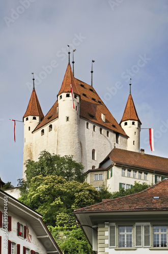 Thun Castle (Schloss Thun). Switzerland © Andrey Shevchenko
