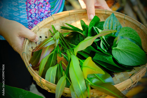 Gardener carrying basket with herbs and vegetables. photo