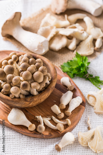 Assortment of edible mushrooms on white background