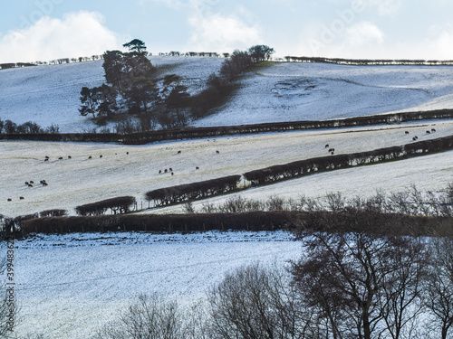 Snow on Shropshire Hills, near Clun, in December for Christmas. Beautiful hilly British landscape, England, UK, stock photo