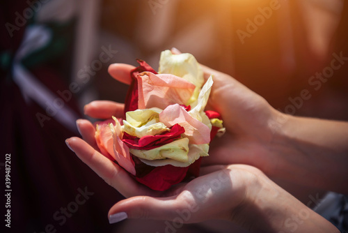 Wallpaper Mural Female's hands with rose petals, close-up. Woman's palms holding colorful petals in the sunlight, blurred background. Flowers for wedding ceremony. Torontodigital.ca