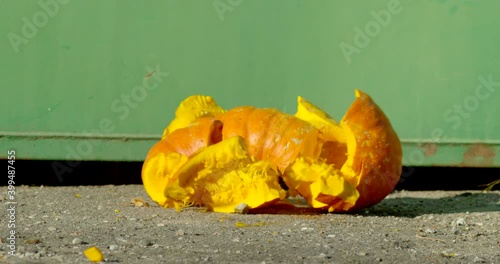 Orange pumpkin falling into the ground and scattering into pieces in super slow motion, 2000fps