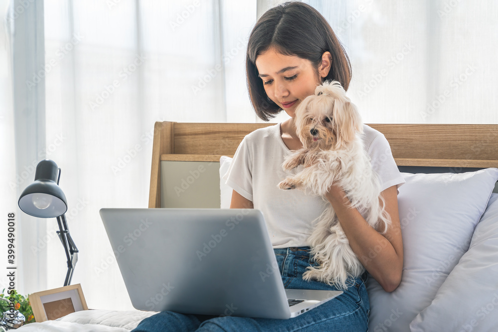 woman work at home and playing with her dogs in bedroom in apartment woman work at home and playing with her dogs in bedroom in apartment