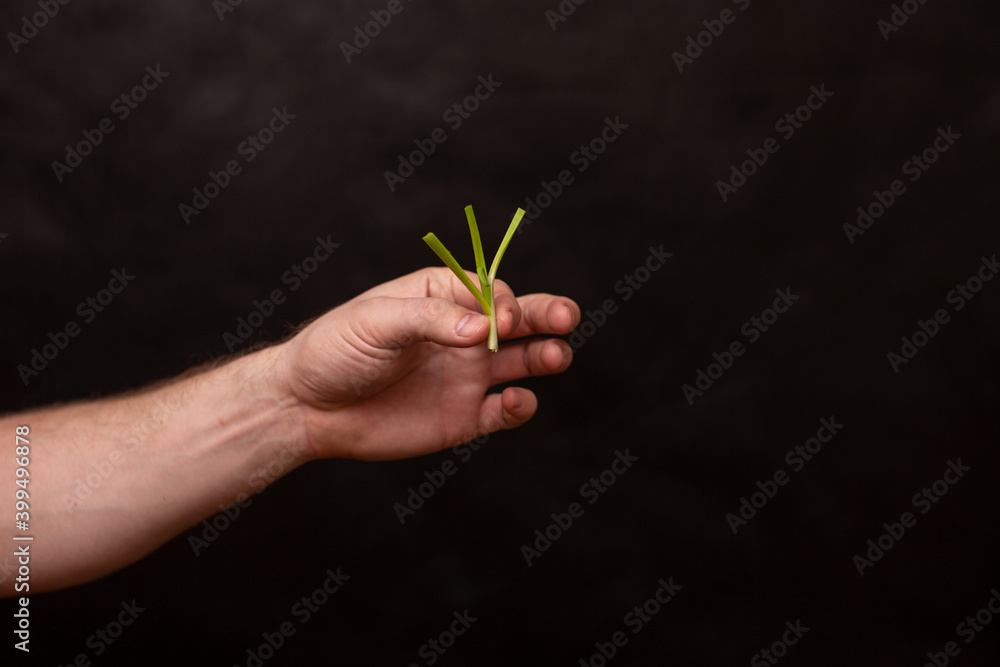 hand on a black background holds a green bow hand on a black background holds a green bow