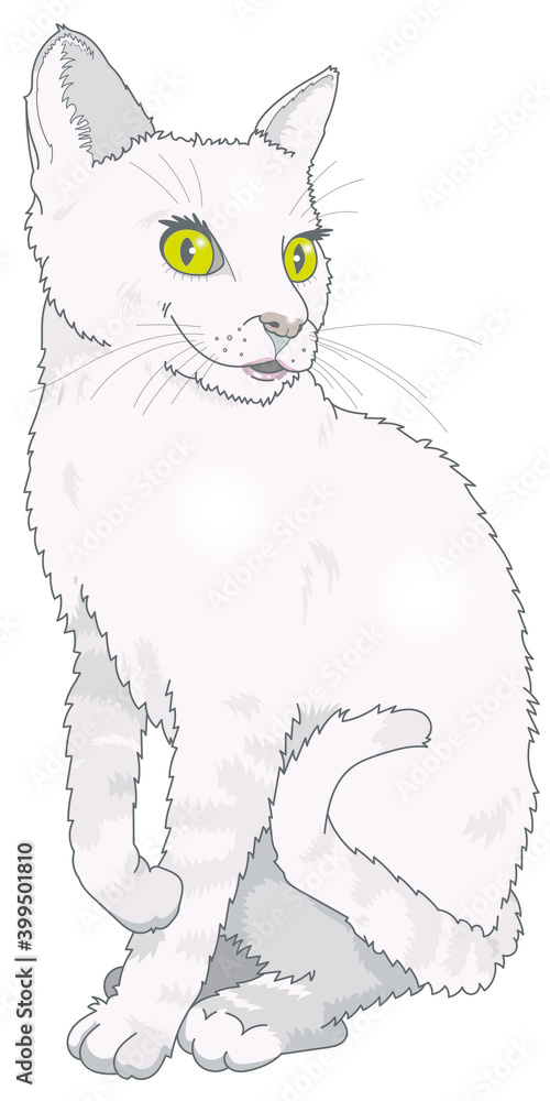 Chatte blanche Chatte blanche