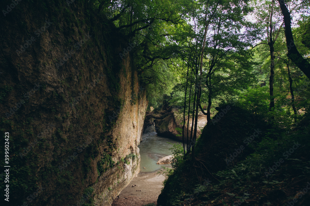 The nature of the Caucasus The nature of the Caucasus