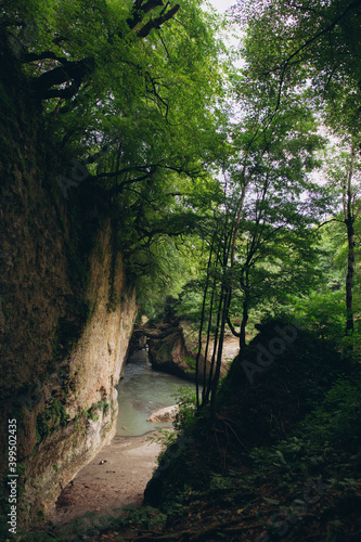 The nature of the Caucasus