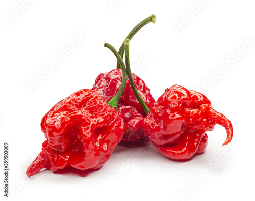 Carolina Reaper, the hottest chile pepper Capsicum chinense, whole ripe pod, isolated on white background. Superhot or extremely hot chile pepper