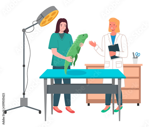 Girl with iguana at reception at veterinarian. Doctor s office. First aid kit. Desk with lamp and diplomas on the wall. Indoor plant in pot. Vet gives advice on caring for exotic reptile to owner