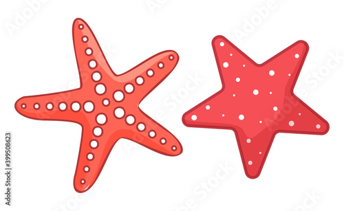 Starfish, sea or ocean symbols isolated at white, coral stars, sea creature, red organism with dotted sides, aquatic animal, marine, mollusk, summer tropical exotic object, wildlife, cartoon style