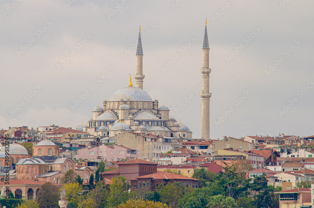 Fototapeta premium Mosque. Cityscape in Istanbul (Turkey)