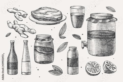 Hand-drawn set of products for cooking kombucha. Tea mushroom, ginger, jars, bottles, mint leaves, glass on a white isolated background. Organic food concept. Vector illustration.