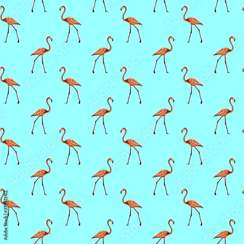 Image of a full-length pink flamingo. Animalistic digital sketch. Animal drawn by hand on a white background