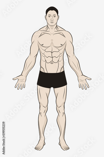 Male Body for Human Anatomy Poster. Simple Drawing and Outline