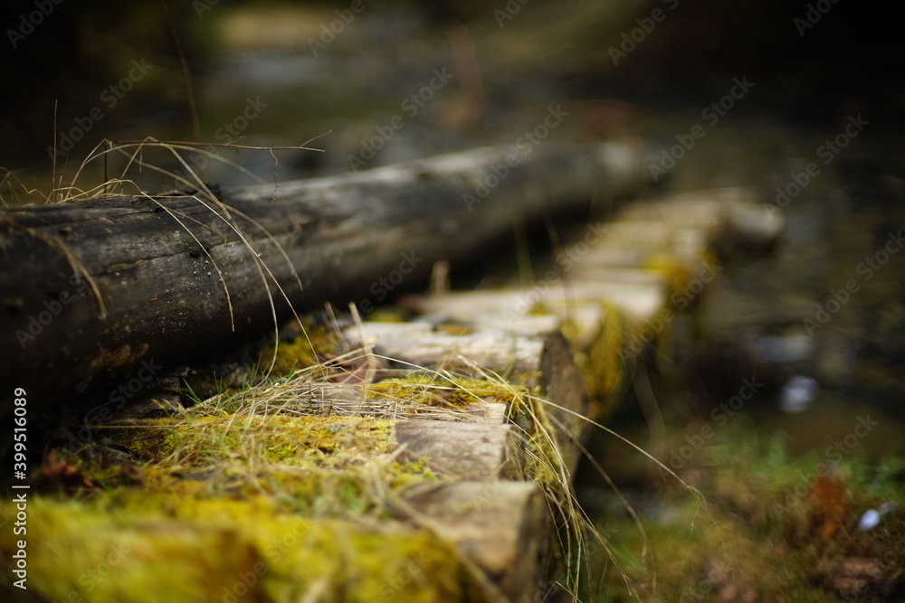 Close up view of Wooden mossy Log Bridge, deeply in the forest, old mysterious structure, non urban scene Close up view of Wooden mossy Log Bridge, deeply in the forest, old mysterious structure, non urban scene