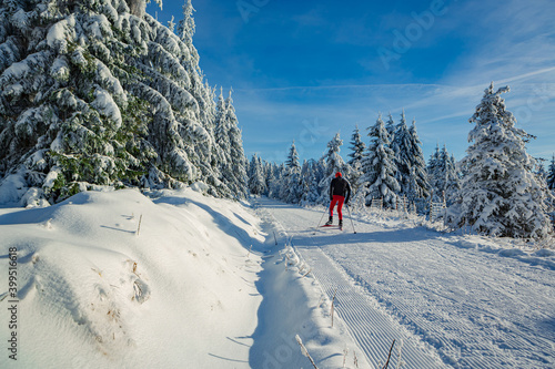 cross-country skiing photo