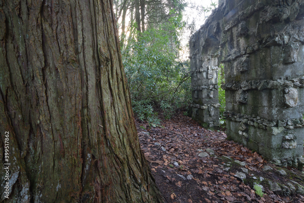 The ruins of Tivoli Park Lerryn Cornwall The ruins of Tivoli Park Lerryn Cornwall