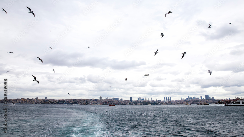 View of Istanbul and seagulls from a ship, Turkey