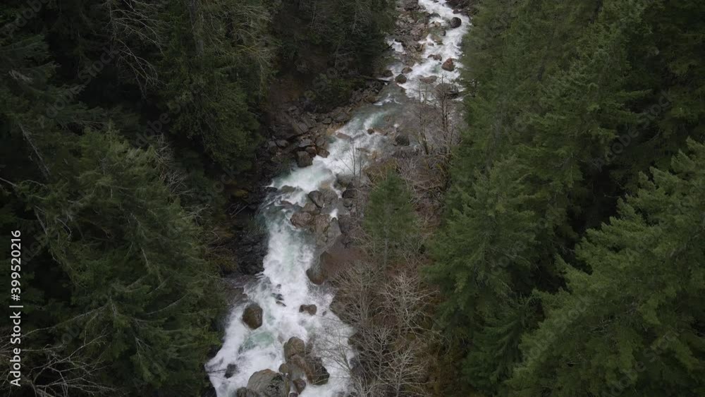 Lush Forest Aerial Over Winding River of Whitewater Rapids Lush Forest Aerial Over Winding River of Whitewater Rapids