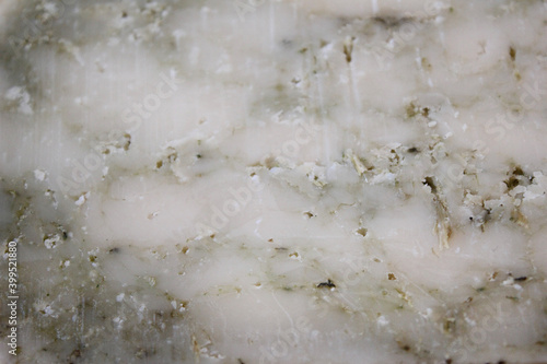 Farmer's cheese crust of cheese with grains inside. texture as hand-made cheeses ripen. orange white green solid background, cheese mold