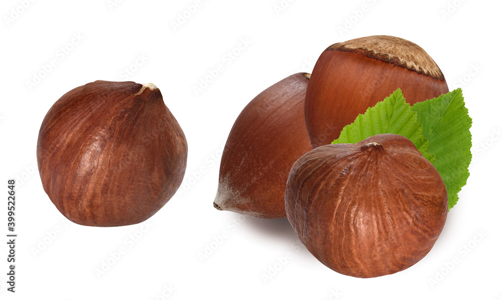 nuts and hazelnut kernels isolated on white nuts and hazelnut kernels isolated on white