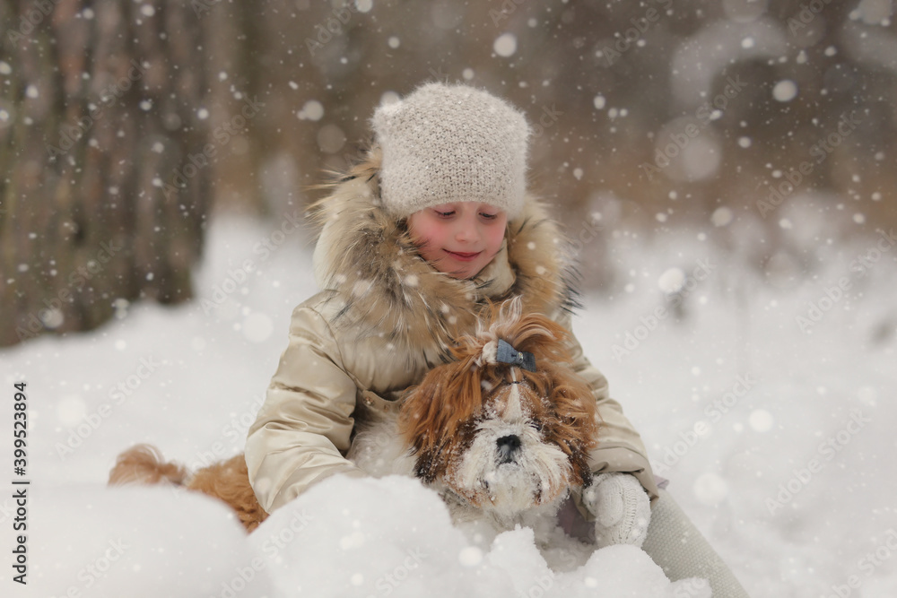beautiful little girl in winter forest with dog beautiful little girl in winter forest with dog