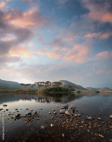 view of the island of twelve pins in lake derryclare. Galway. Ireland. vertical composition © magui RF
