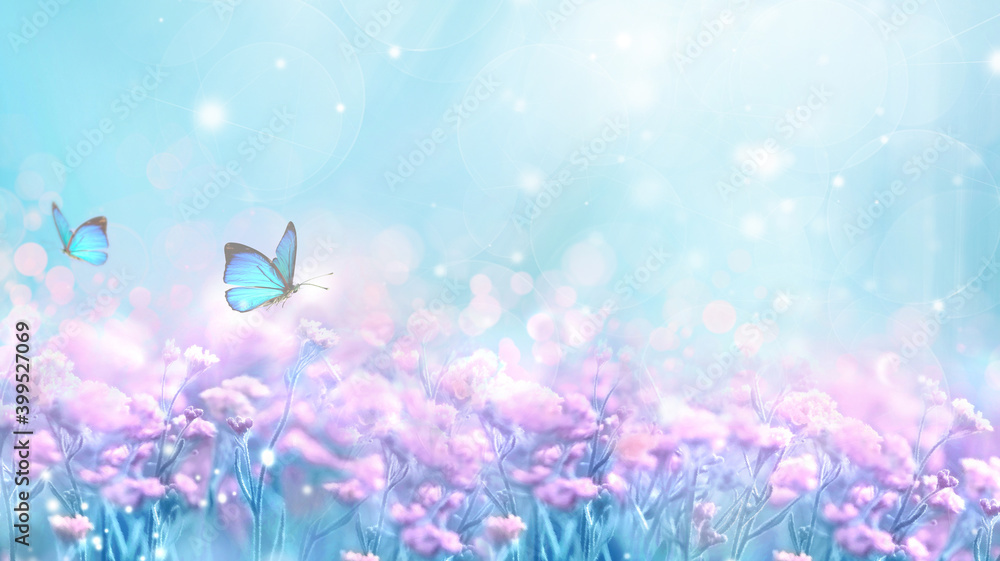 Floral spring natural blue background with fluffy airy lilac flowers on