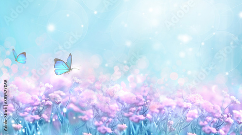 Floral spring natural blue background with fluffy airy lilac flowers on meadow and fluttering butterflies on blue sky background. Dreamy gentle air artistic image. Soft focus.