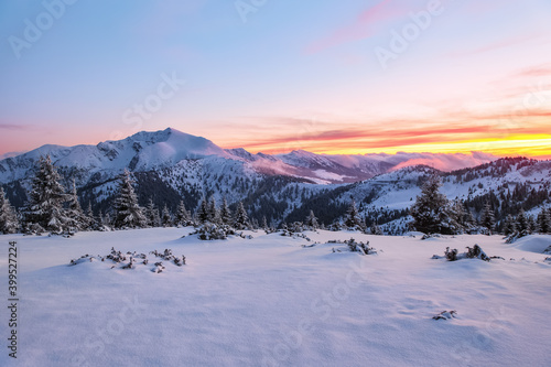 Amazing sunrise. High mountain. Panoramic view. Winter forest. Natural landscape with beautiful pink sky. Snowy background. Location place the Carpathian, Ukraine, Europe.
