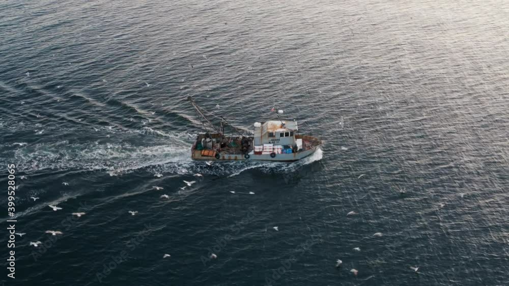 Fishing Boat with Large Catch Fish Swirling Flock Gulls Aerial View Drone. Small Ship Floats on Sea Surface Blue Sky Leaving a Path of Sea Foam Water. Seagulls. Beautiful Sea Panorama On Sunset Winter Fishing Boat with Large Catch Fish Swirling Flock Gulls Aerial View Drone. Small Ship Floats on Sea Surface Blue Sky Leaving a Path of Sea Foam Water. Seagulls. Beautiful Sea Panorama On Sunset Winter