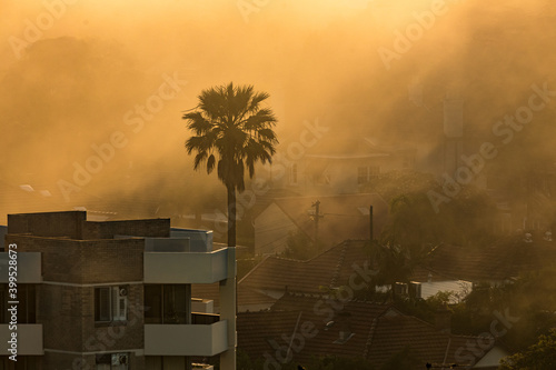 Photography Sunlight through thick brown smoke from bush fires shrouding suburban houses and homes in Sydney, Australia