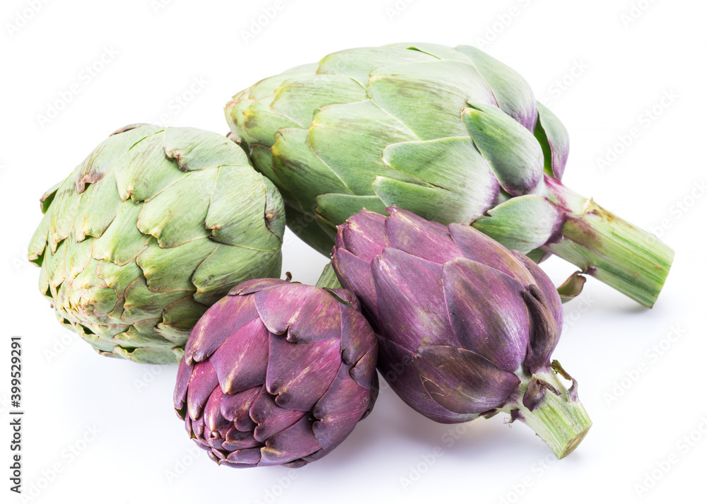 Obraz premium Artichoke flower, purple edible bud isolated on white background.