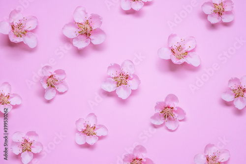 Beautiful fresh peach flower pattern on pink background. Symbol of life beginning and the awakening of nature.