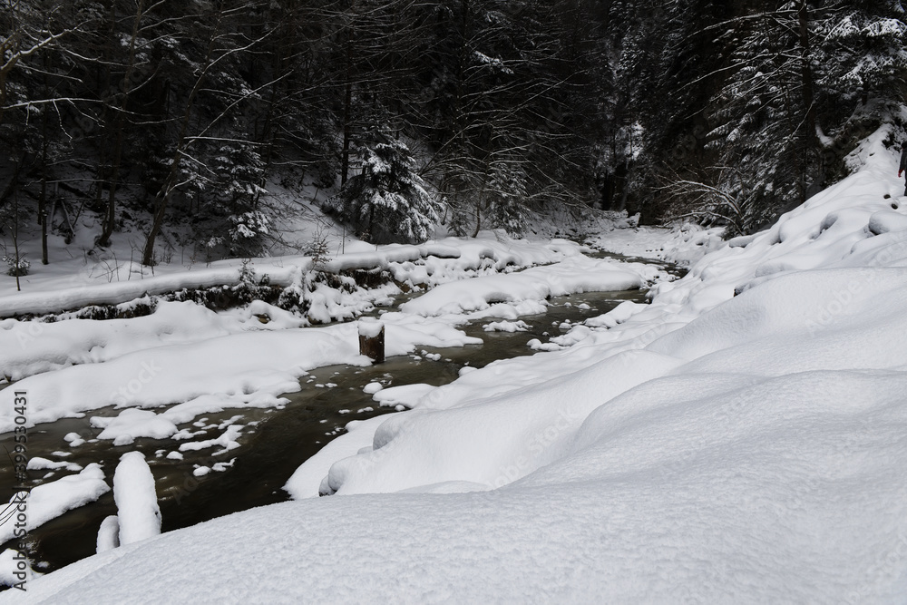 Winter landscape. Small river flowing in the winter forest.
Winter landscape. Small river flowing in the winter forest.