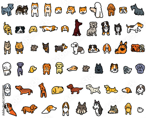 ハスキーやトイプードルなどの様々な犬種のイラスト