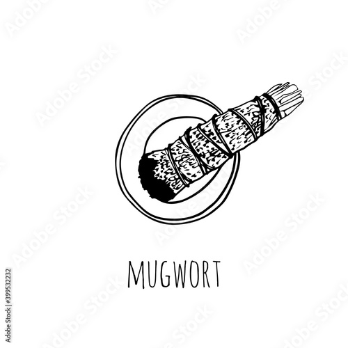 Sage smudge stick hand-drawn doodle isolated illustration. Mugwort herb bundle
