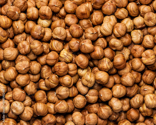 Many hazel nuts in studio  photo