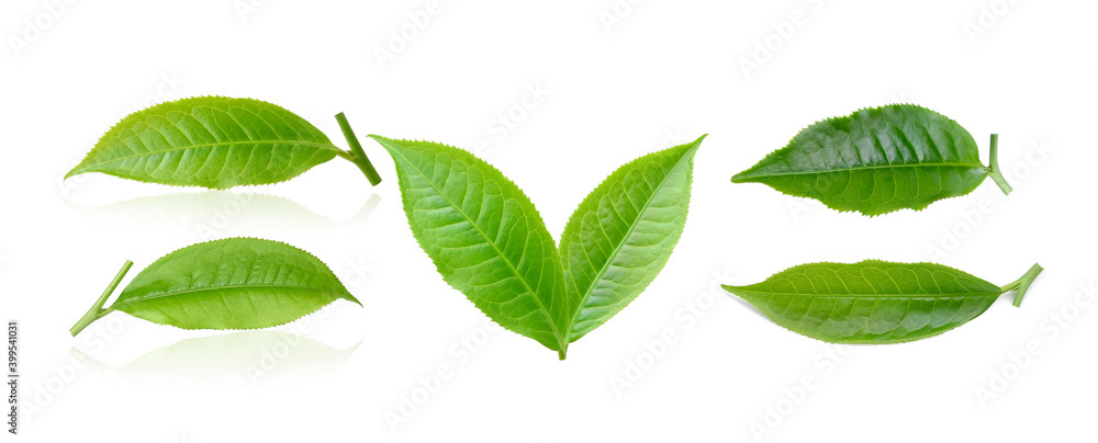 tea leaf on white background tea leaf on white background