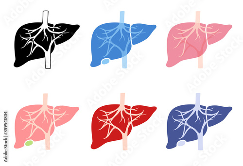 Internal human organs