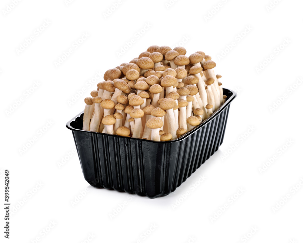 Brown beech mushrooms, Shimeji mushroom, Edible mushroom isolated on white background Brown beech mushrooms, Shimeji mushroom, Edible mushroom isolated on white background