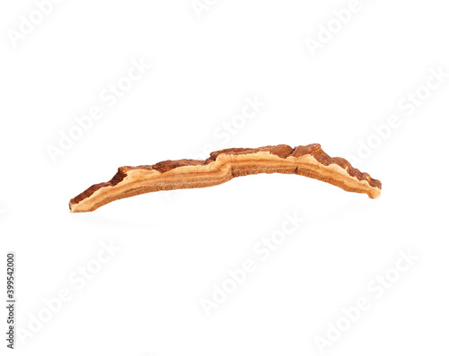 Dried Lingzhi mushroom sliced on white background.