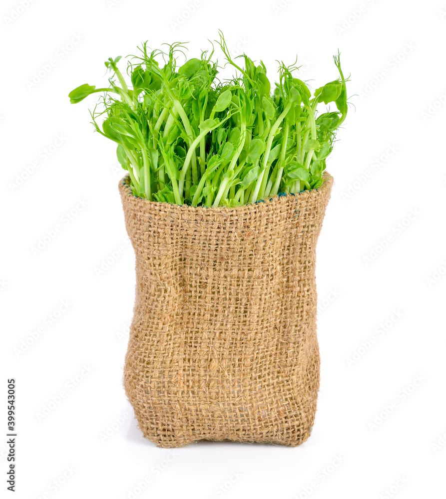 Naklejka premium Snow pea sprouts on white background