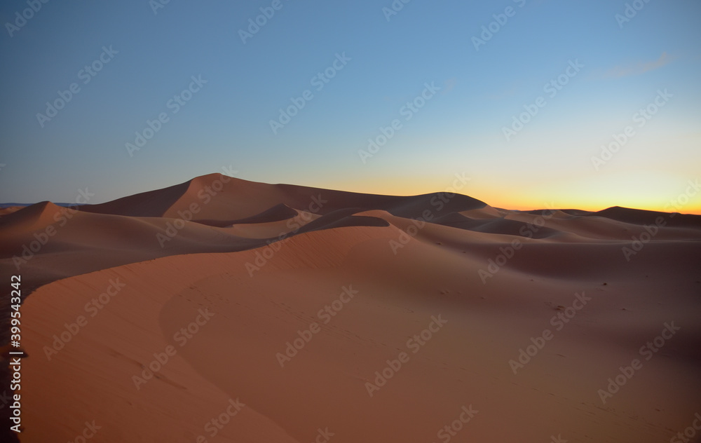 Sanddünen in der Wüste im frühen Morgenlicht