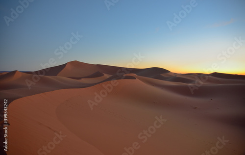 Sanddünen in der Wüste im frühen Morgenlicht