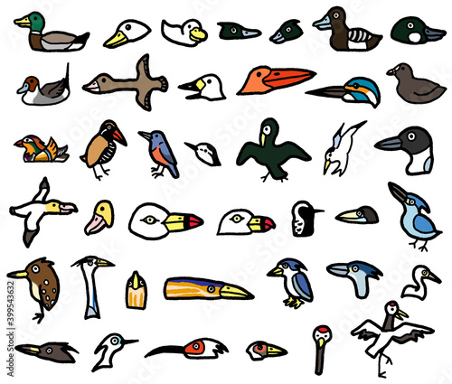 鷺やカモメなどの水鳥のイラスト
