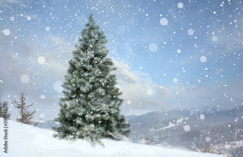 Beautiful Christmas tree outdoors, space for text. Bokeh effect