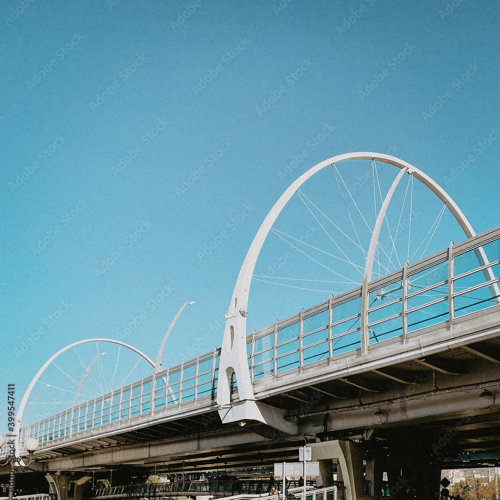 Fototapeta premium rounded bridge over the river